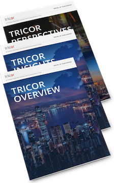 overview-mag