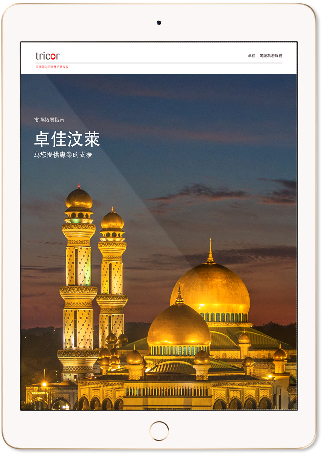 Brunei-Market Expansion Guide-iPad