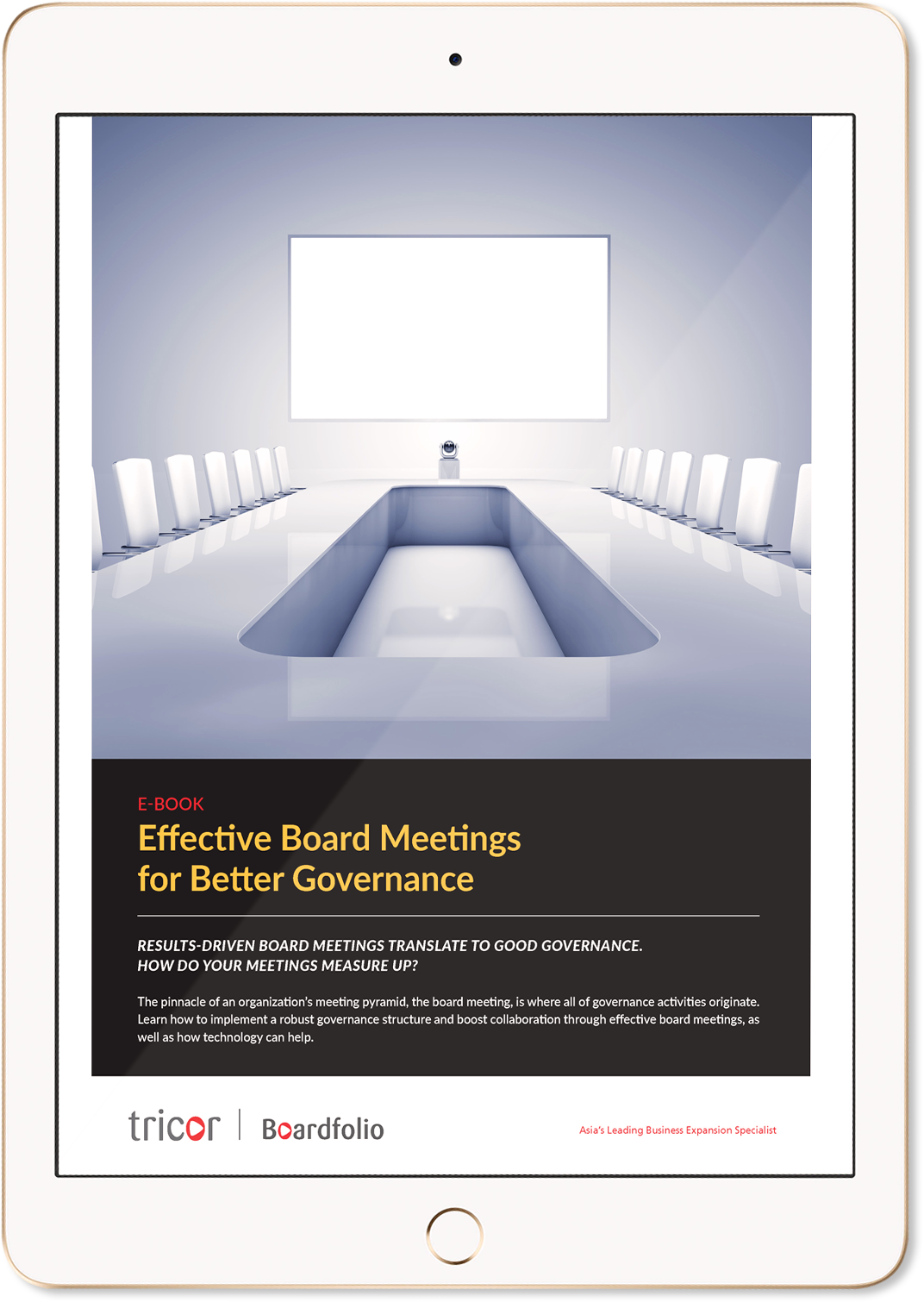 Effective Board Meetings iPad Mockup