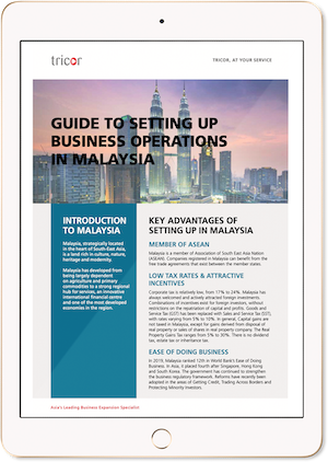 Malaysia Incorporation Guide on an iPad