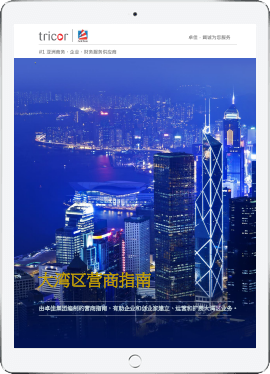 greater_bay_area_cn