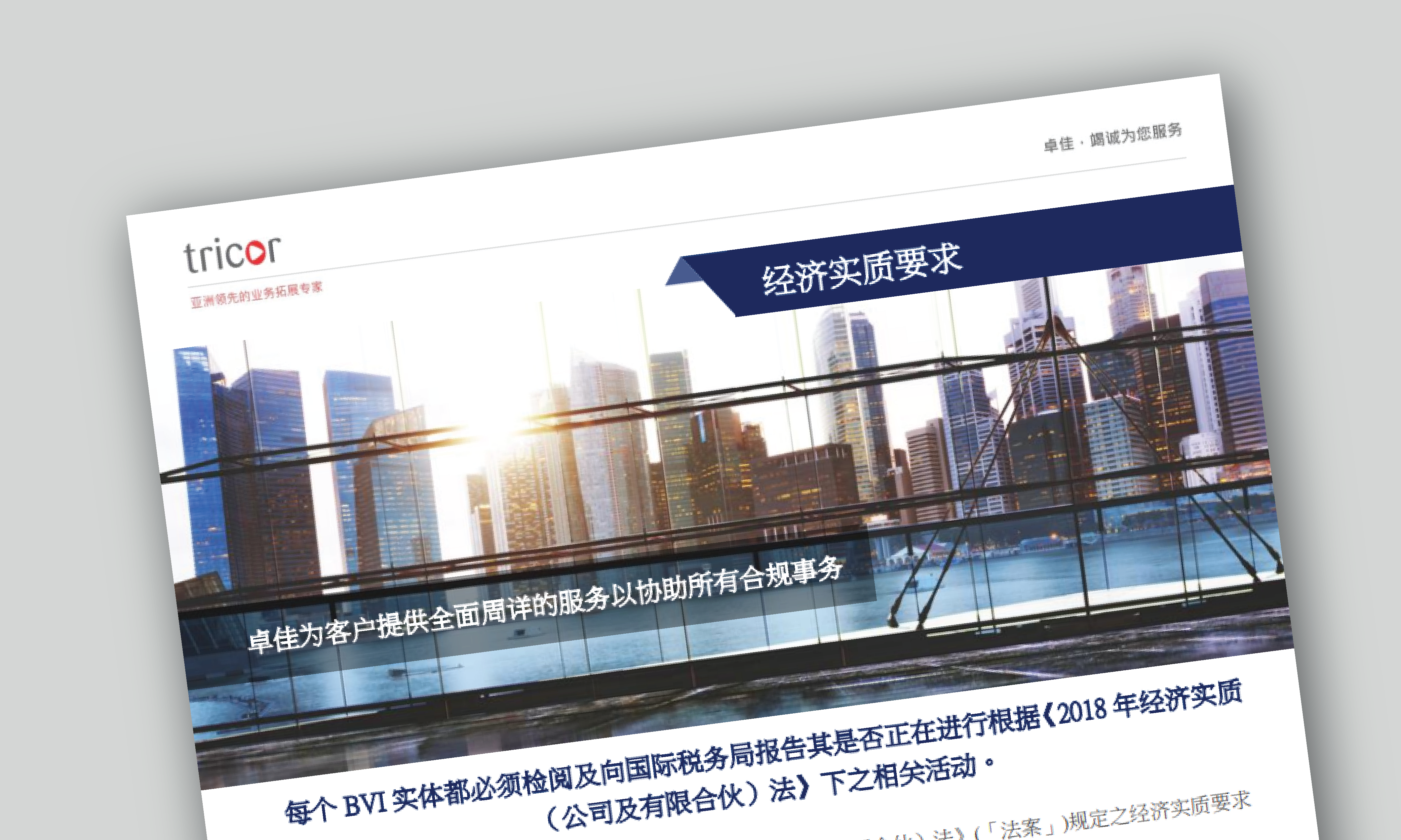 economic substance leaflet-sc-01