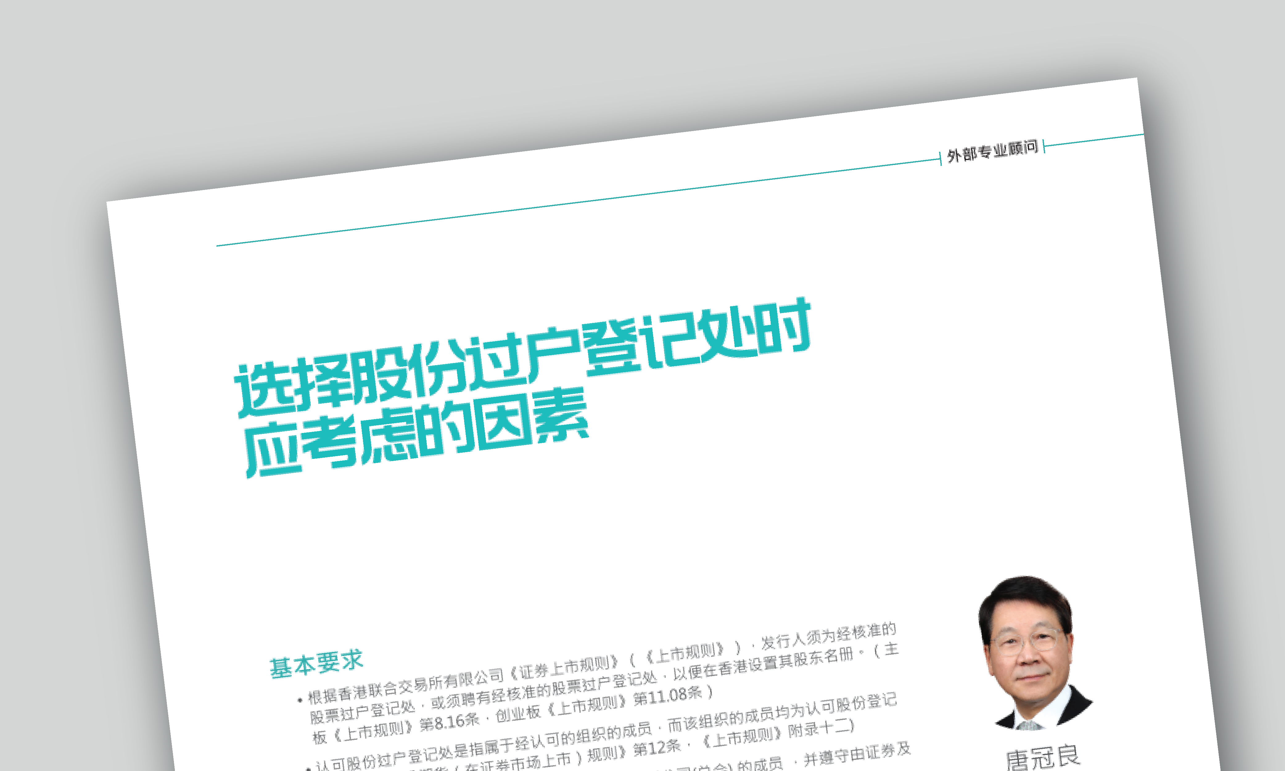external expert consultation-01