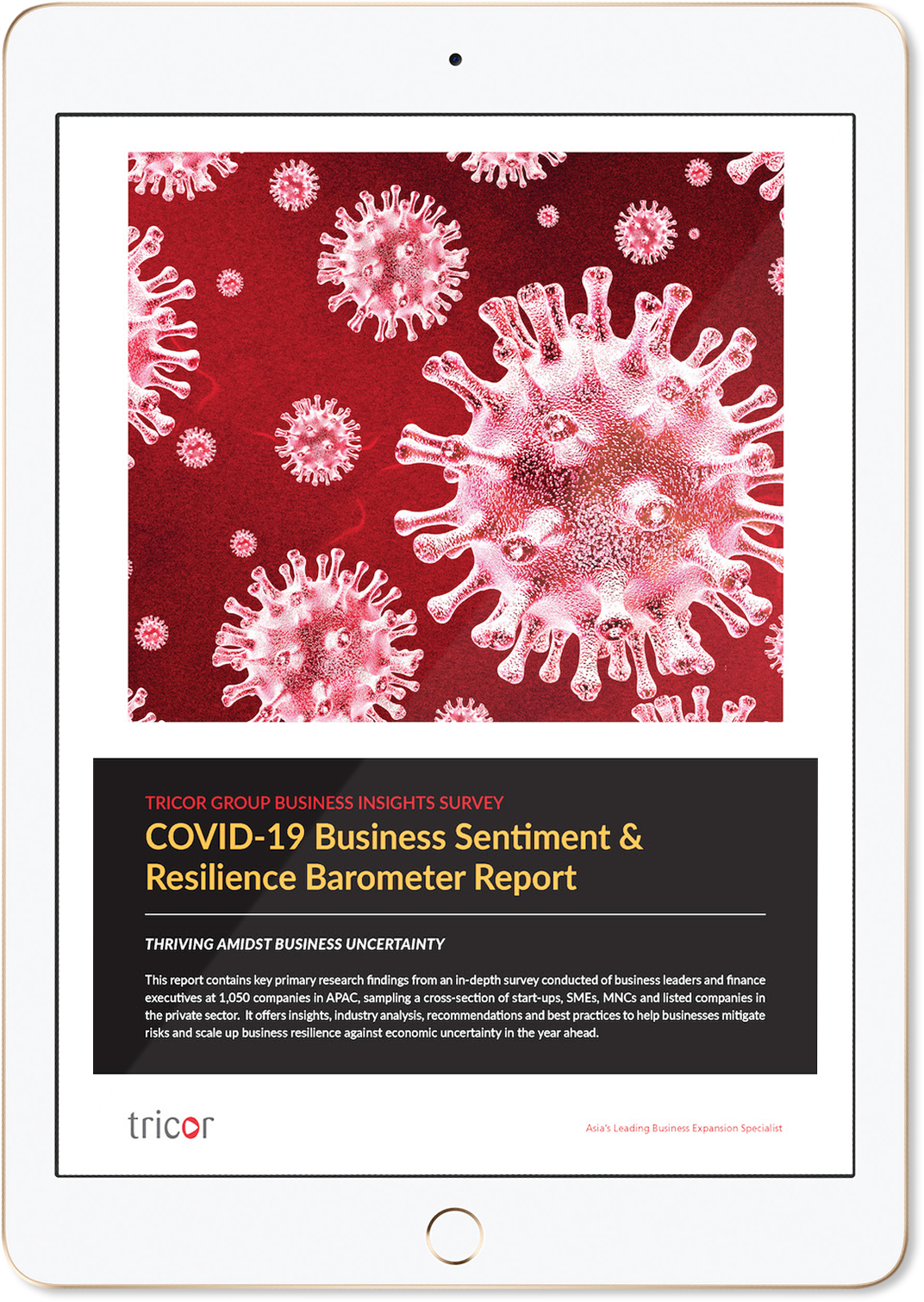 COVID-19 Business Sentiment & Resilience Barometer Report