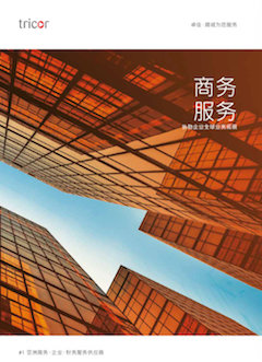 Chinese Business Services Brochure