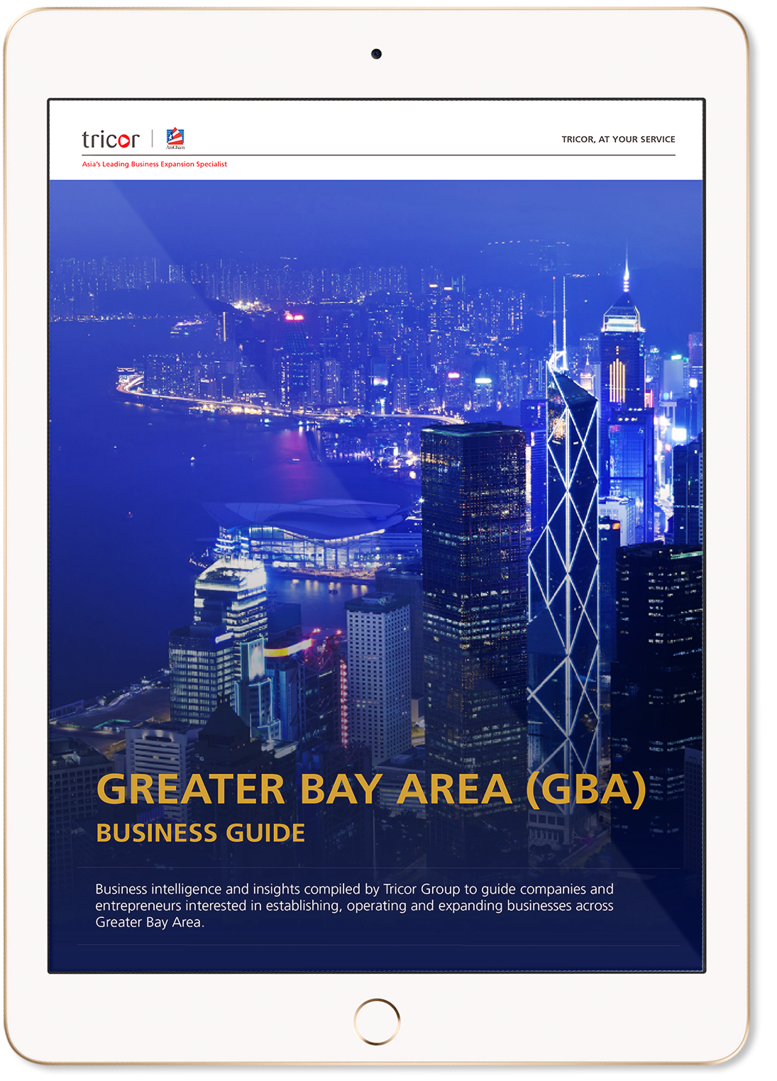 Doing business in the Greater Bay Area