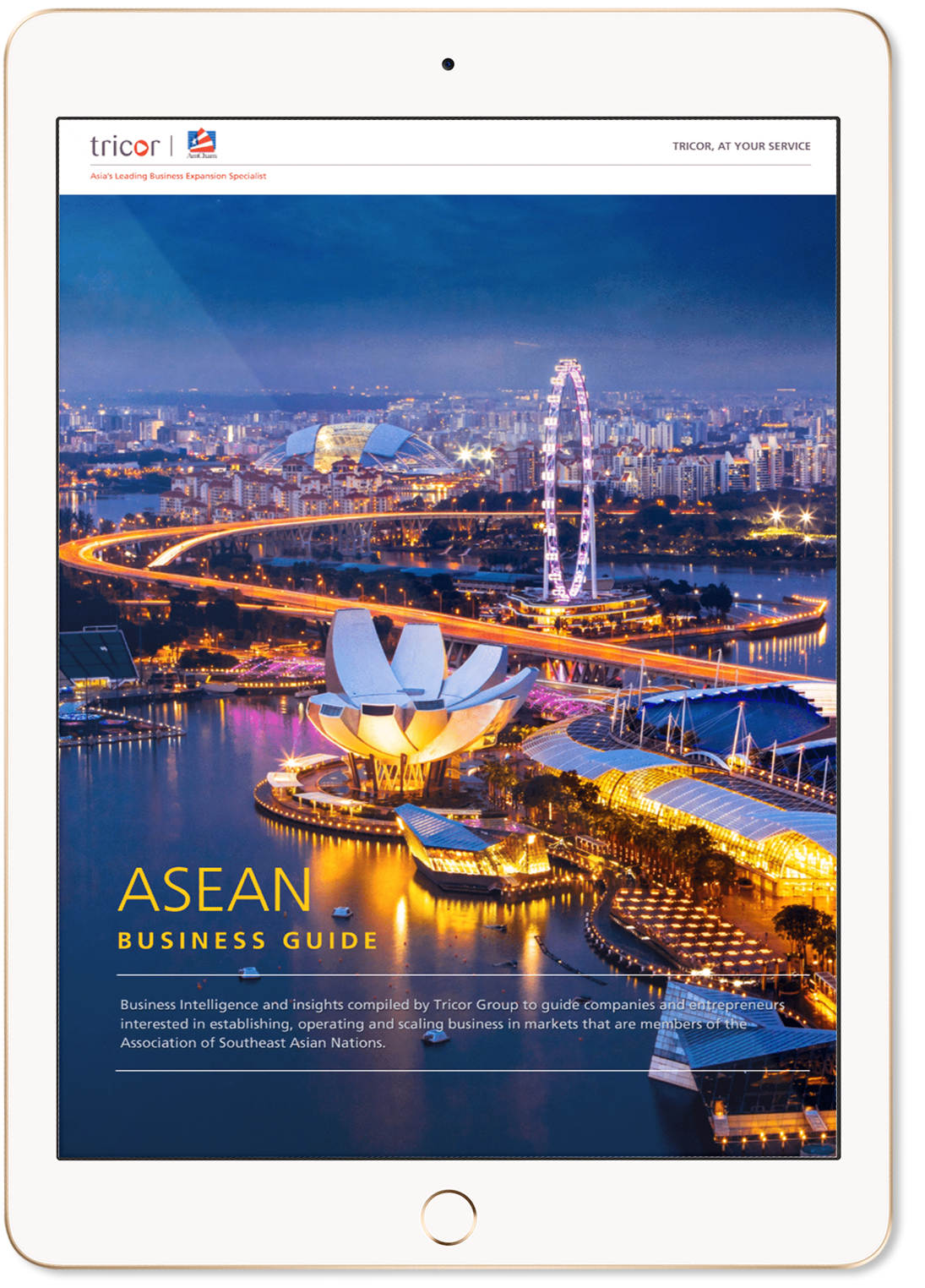 Doing business in ASEAN