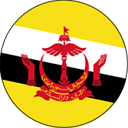 Brunei icon