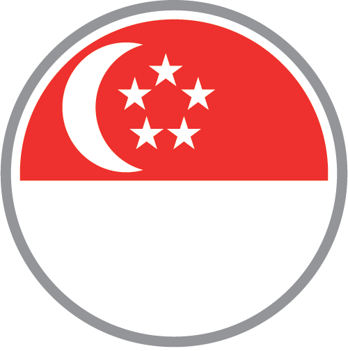 新加坡企业考虑疫情后的远程工作计划 icon