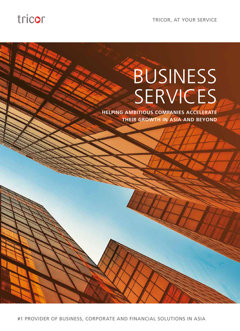 Chinese Business Services Brochure